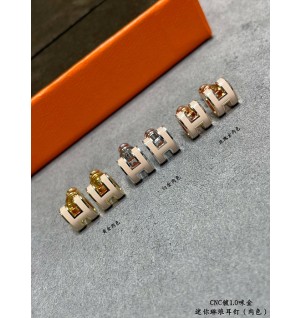 에르메스 팝아슈 귀걸이 (컬러 스킨) (미니 팝 / 팝)