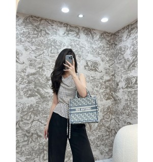디올 북토트백 스몰 샴브레이