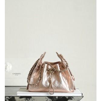 샤넬 25C 크루즈 뉴 호보백 미니 (25백)